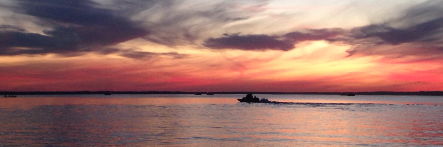 ellcatraz's profile banner image