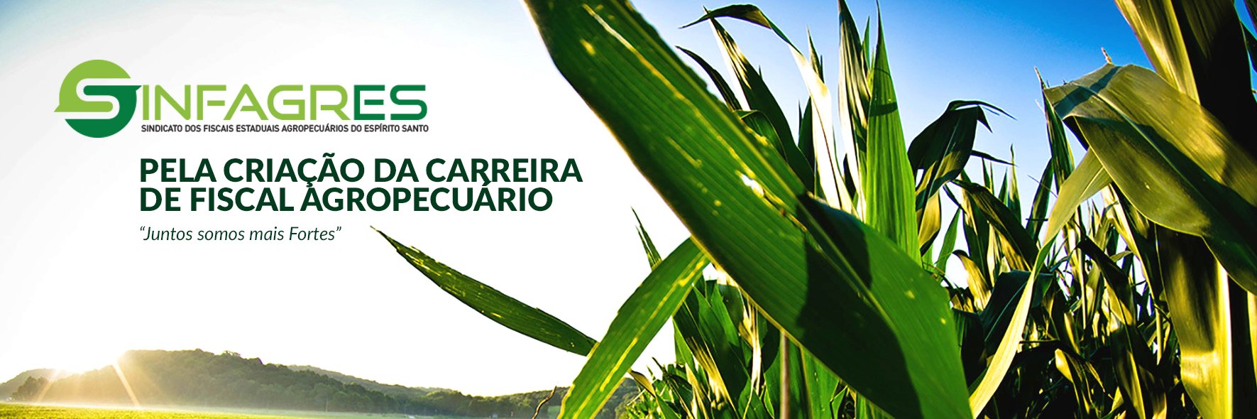 Sinfagres's profile banner image