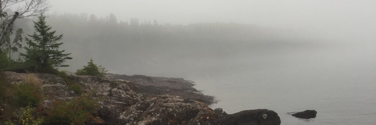 thFUKisTHIS's profile banner image