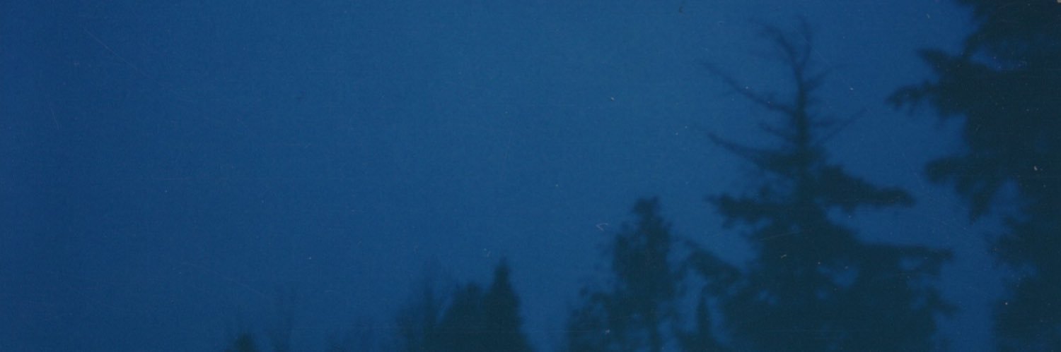 foxwedding banner