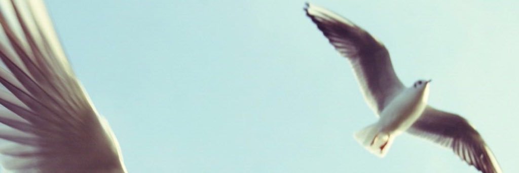Dl3441's profile banner image