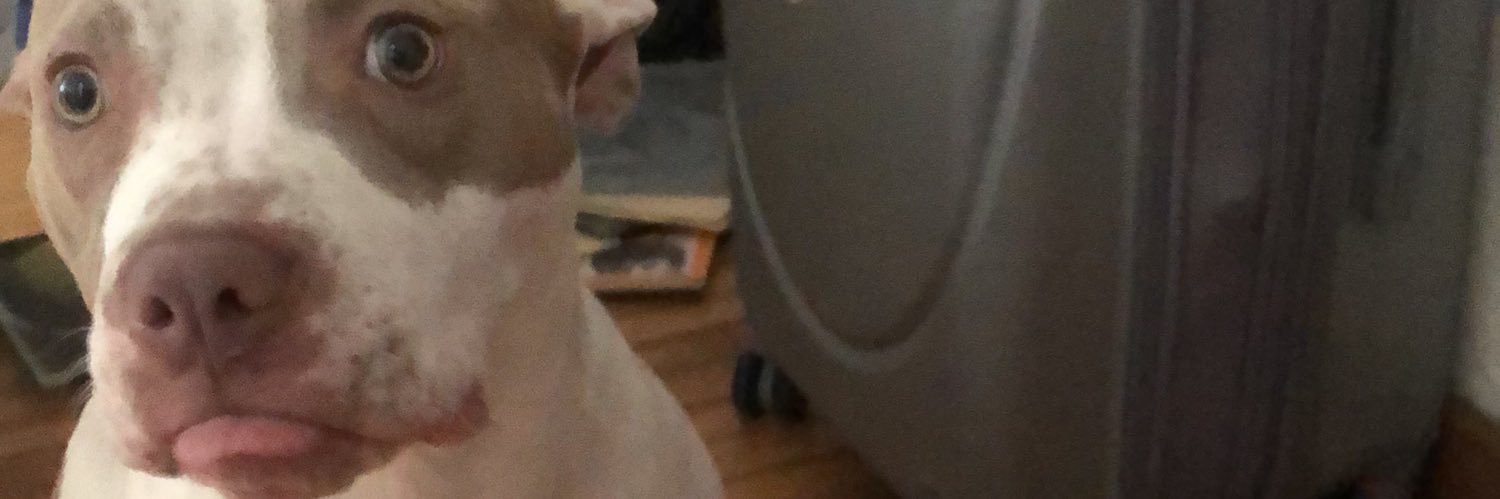 riabiatch's profile banner image