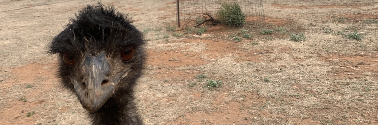 on the road to Damascus or is it the Stuart Hwy banner