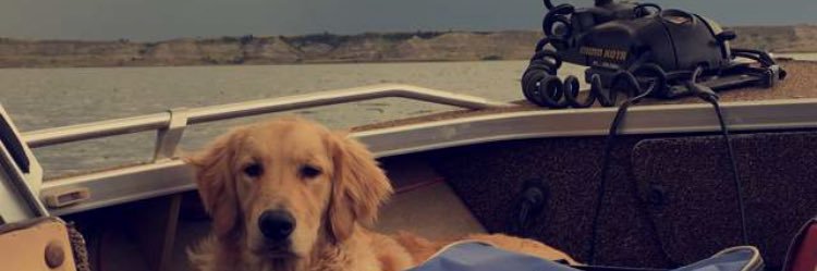 dan_1540's profile banner image