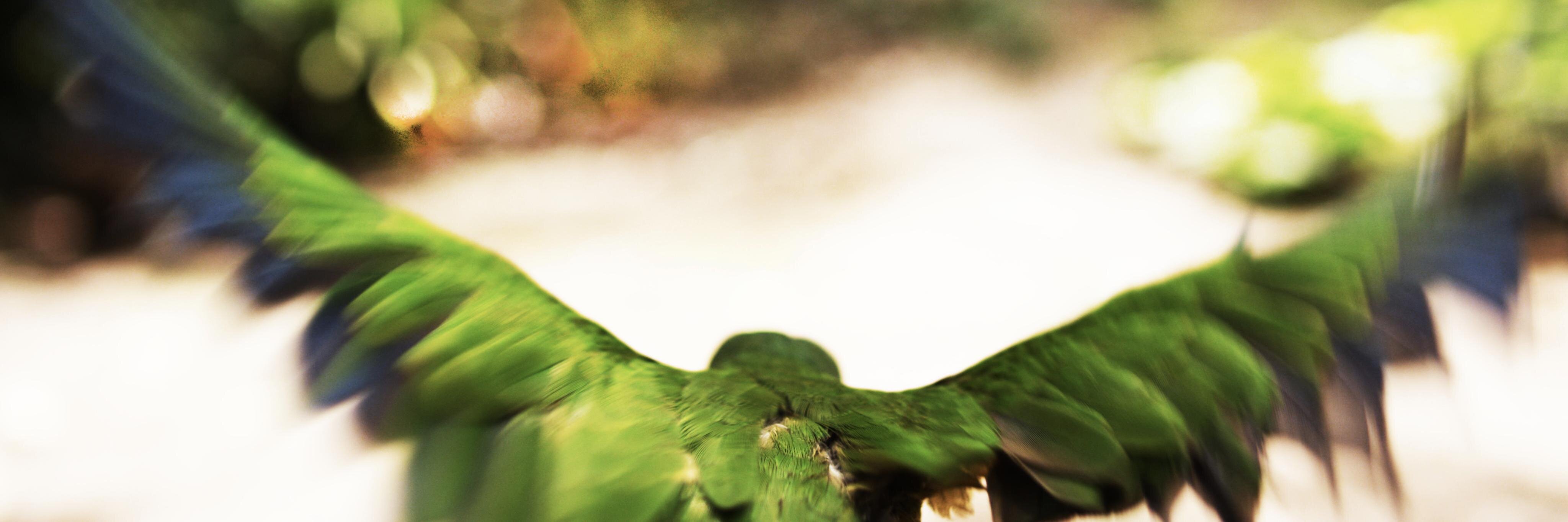 TheNinthOctave's profile banner image