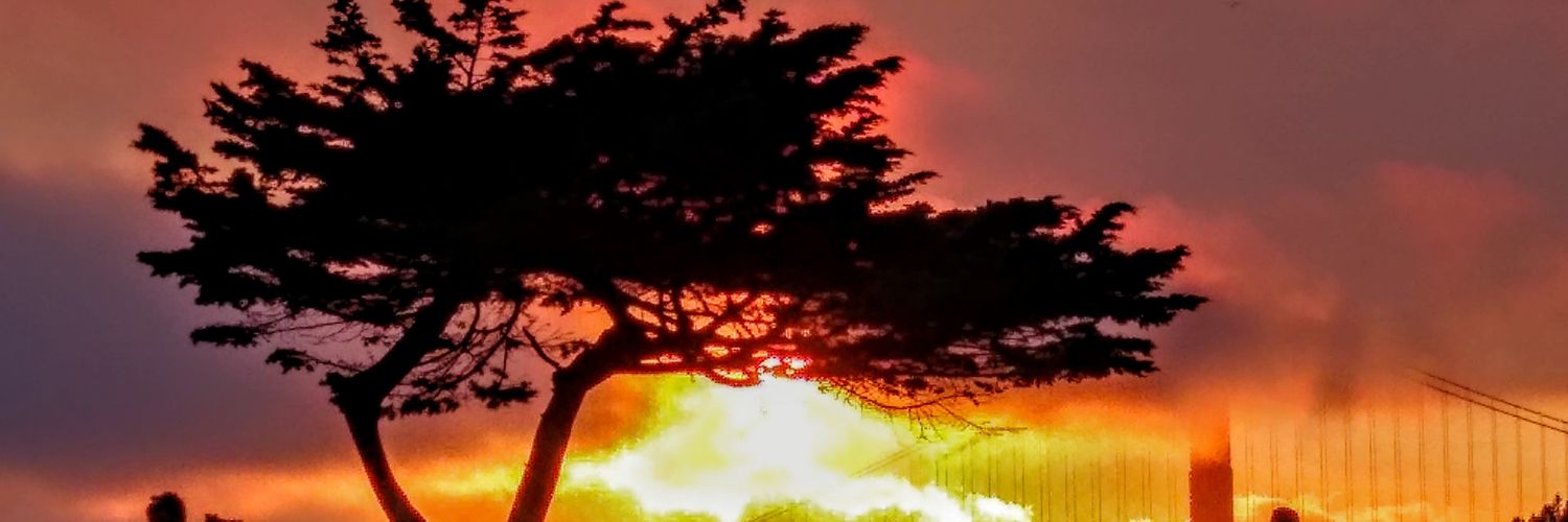 conniecrayon's profile banner image