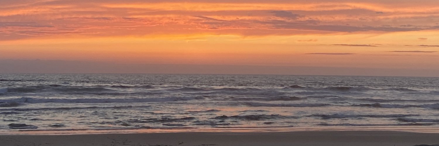 𝒑𝒂𝒖𝒍𝒂 banner