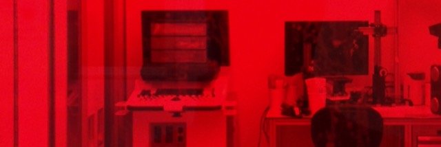dgangul1's profile banner image