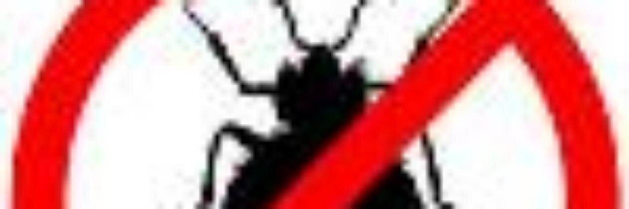 BedBugSolution's profile banner image