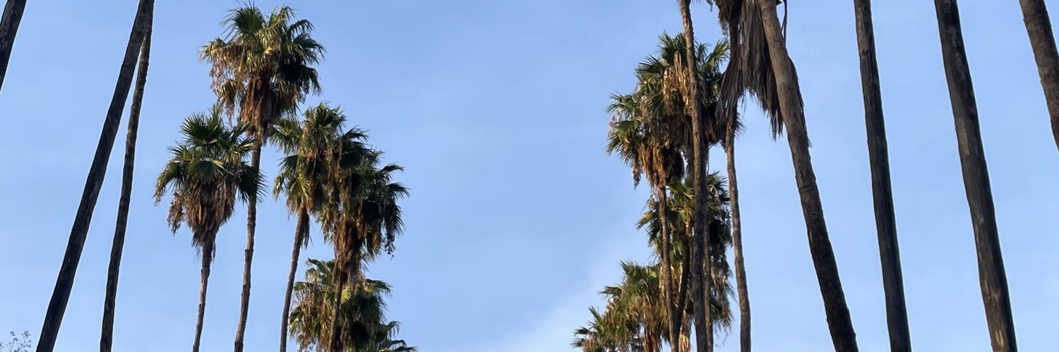 vchaconh's profile banner image