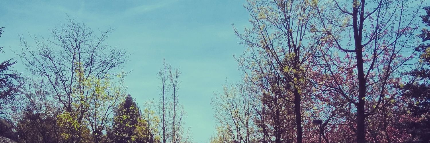 LabarbeManu's profile banner image