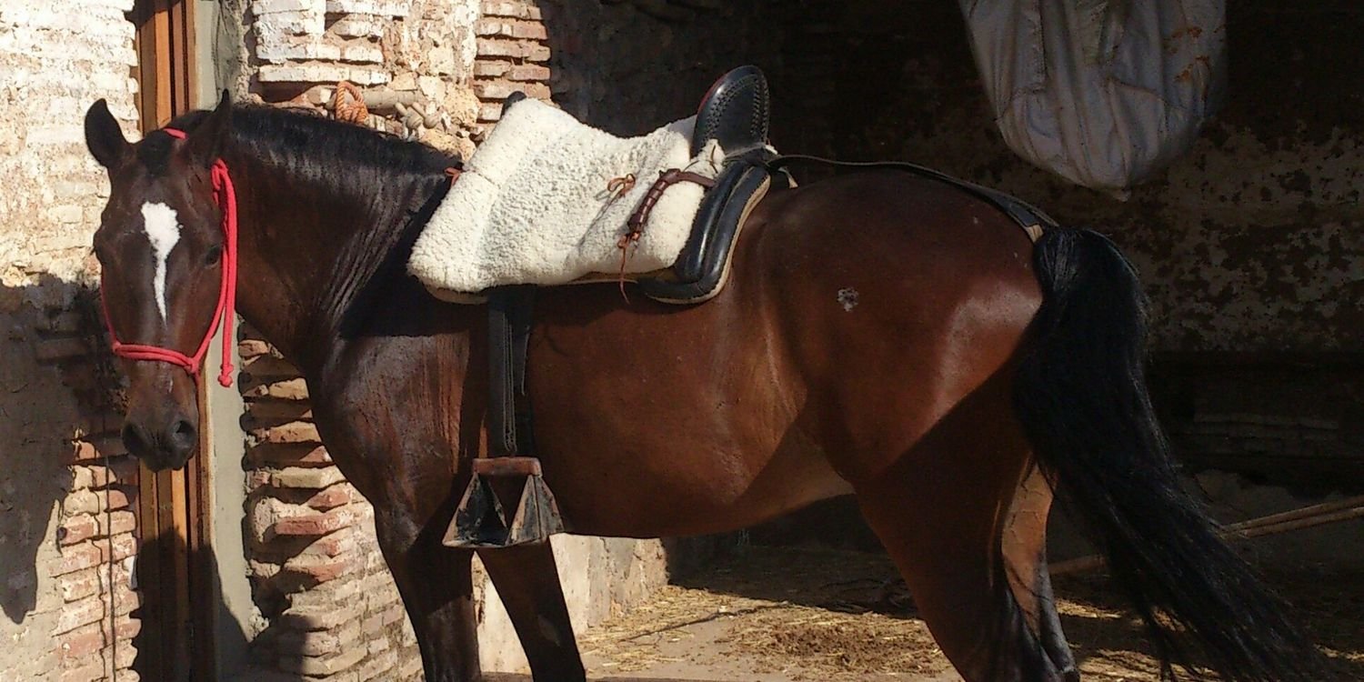 gabrielcastille's profile banner image