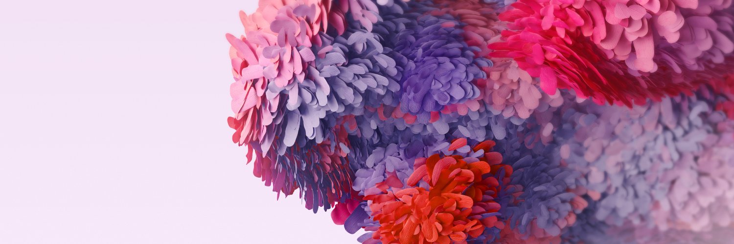 cannkr1's profile banner image