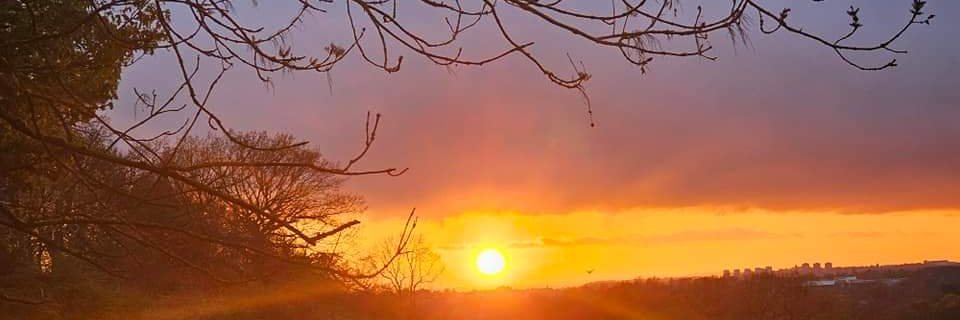 DianeB ♀️ banner