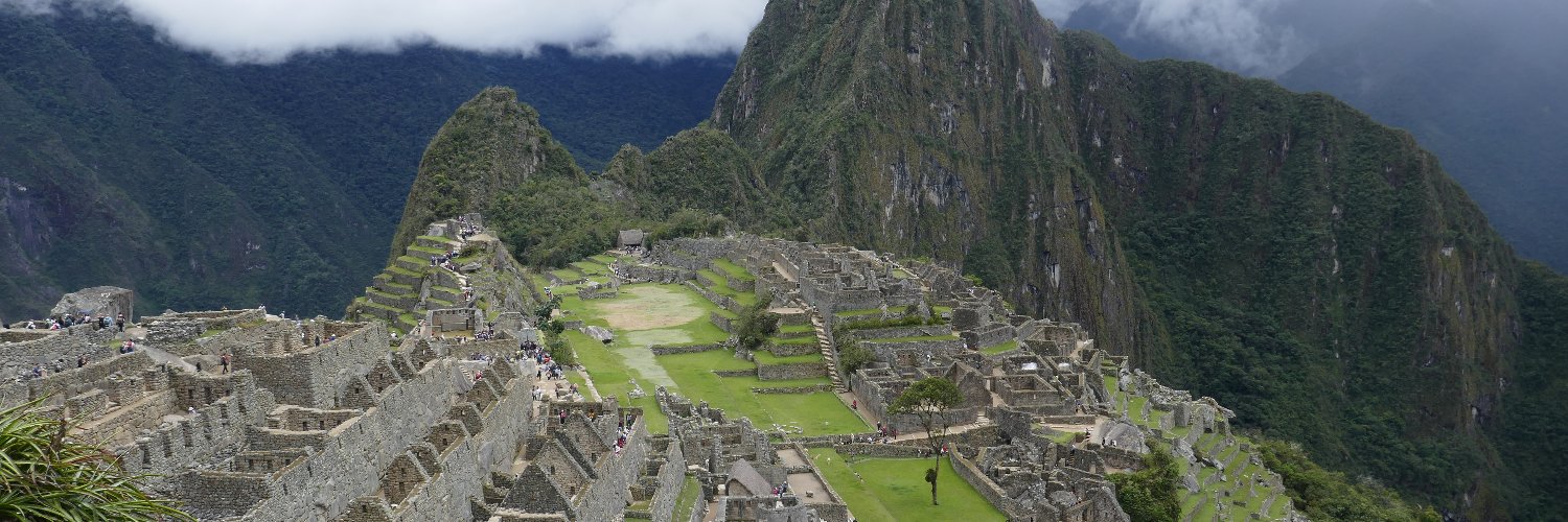 michelle k 🌺💐😀 banner