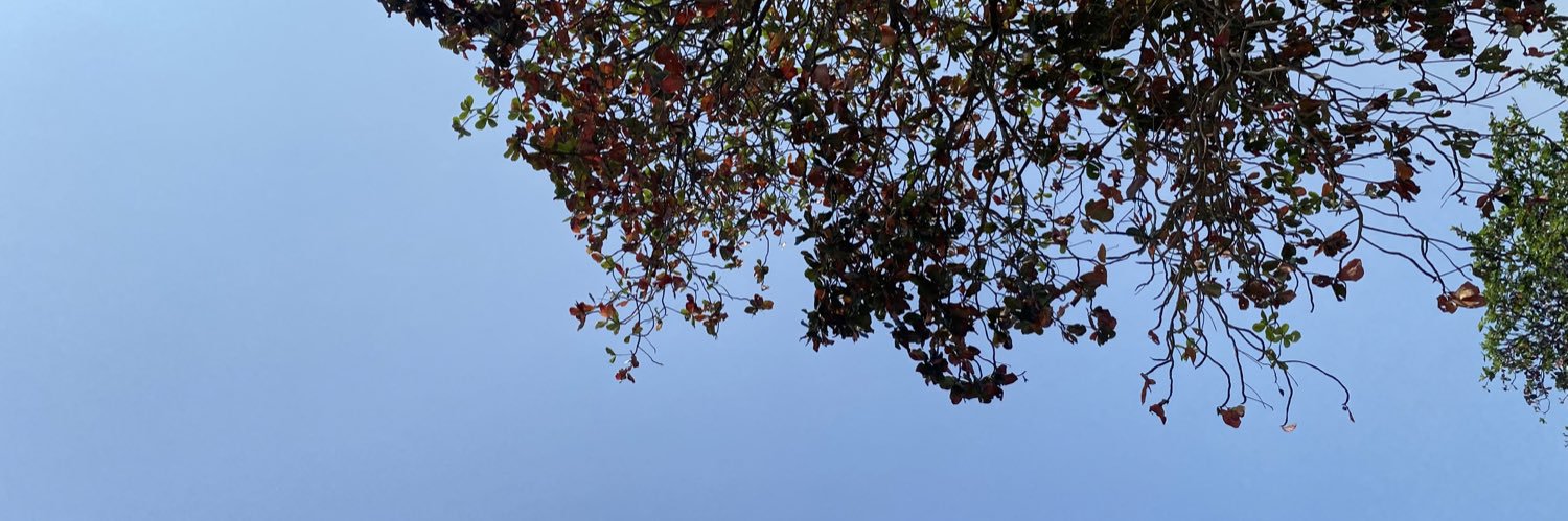 firfp_'s profile banner image