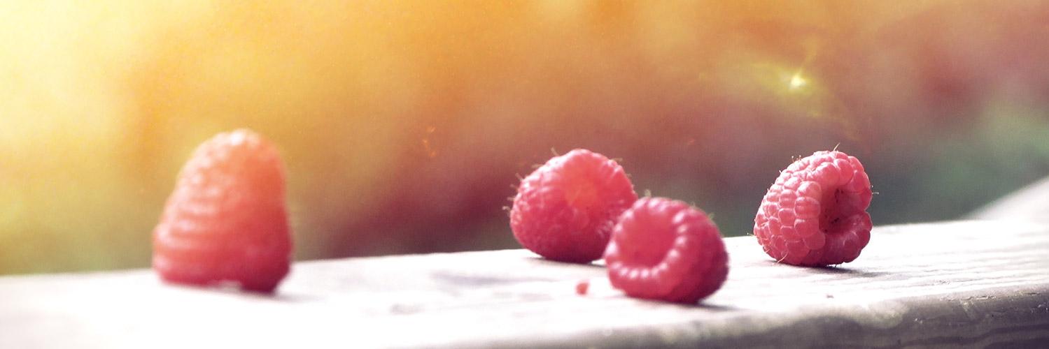 montsecuines's profile banner image
