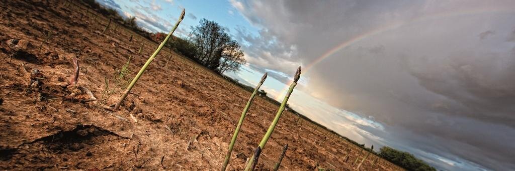 Fernando Del Cerro banner