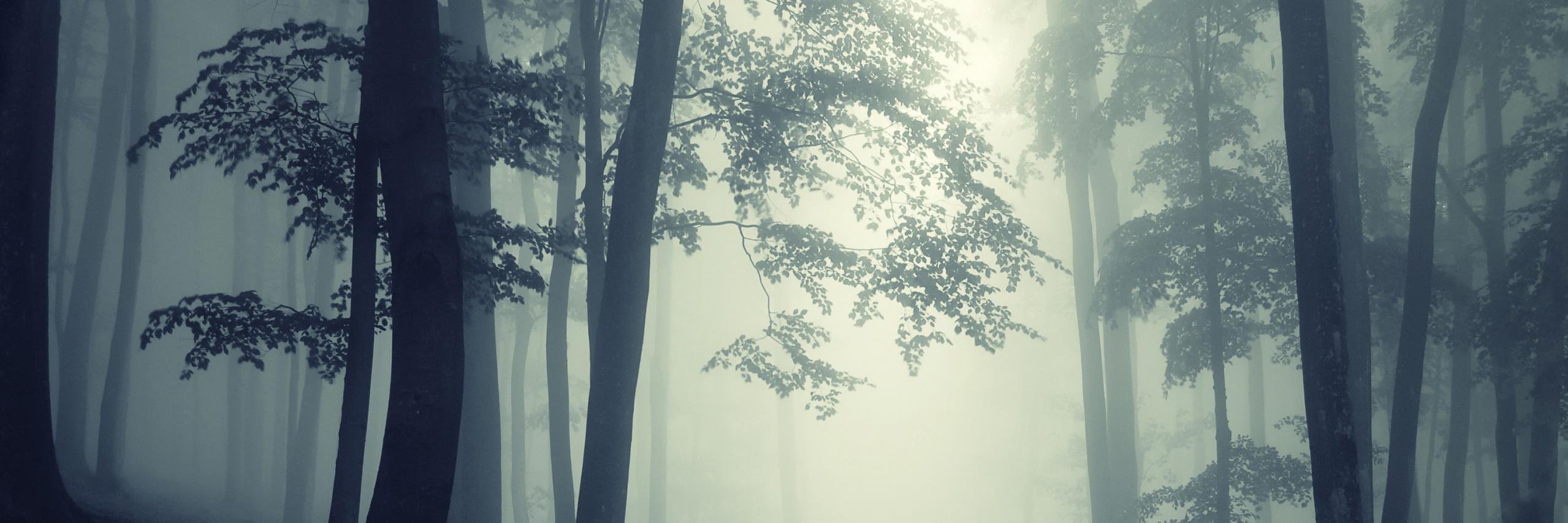 EvoLeon_3's profile banner image