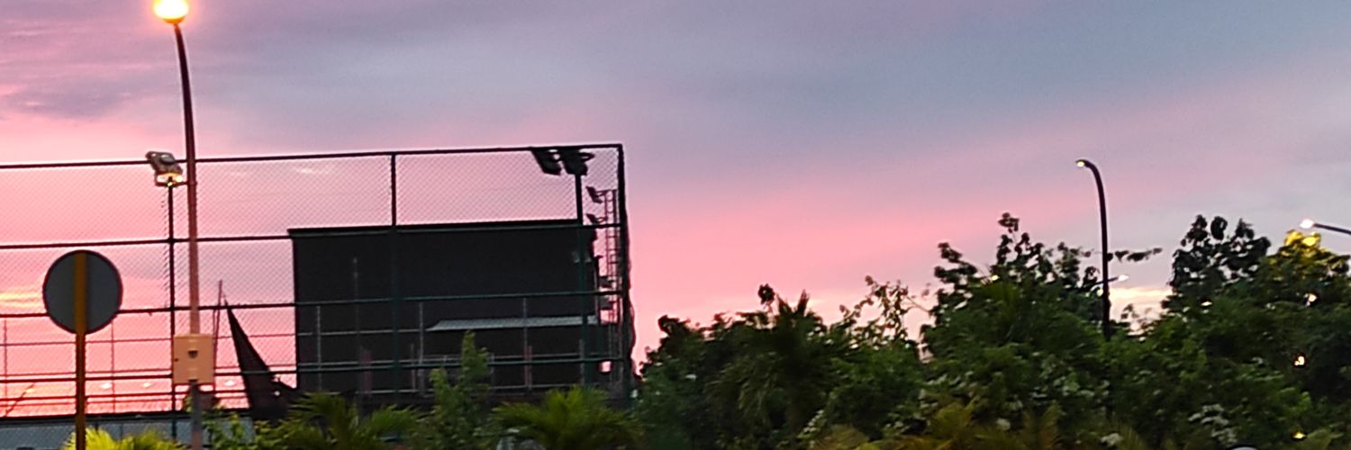 fexlyn's profile banner image