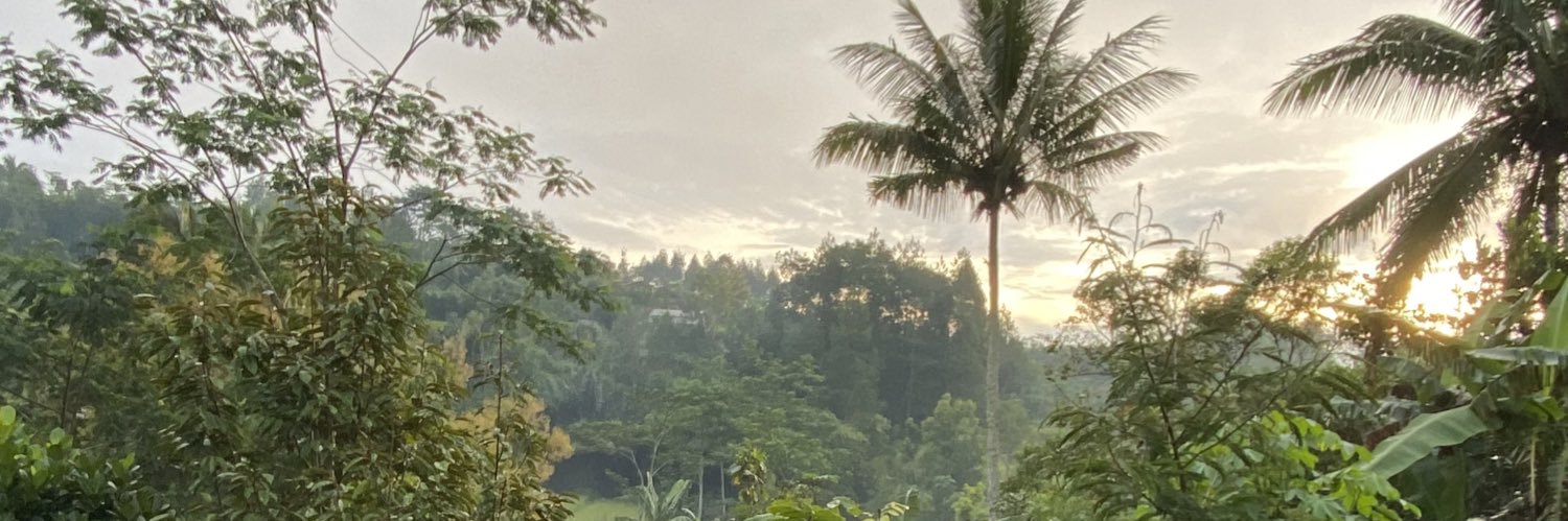 bedaserver's profile banner image