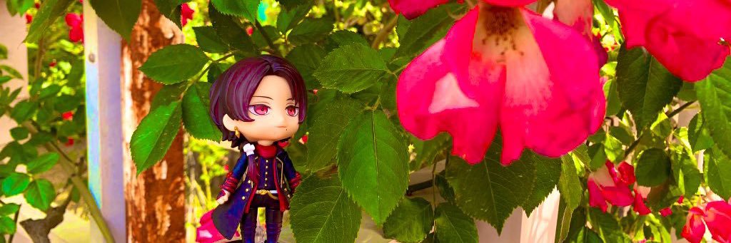 しかせんべい🌾 banner