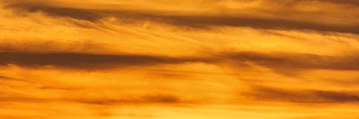 biolomar's profile banner image