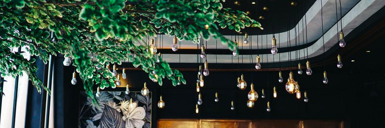 Zsuzsanna Bodi banner