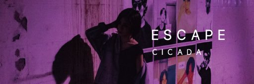 CICADA_2012's profile banner image