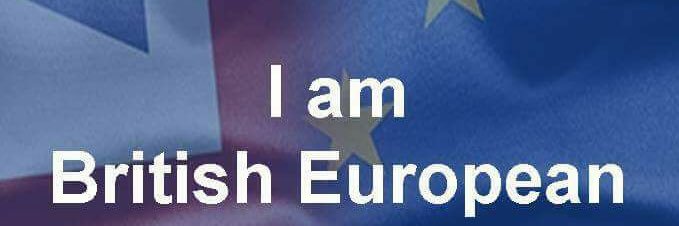 Little Winglet banner