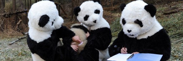 Michael Meyer banner