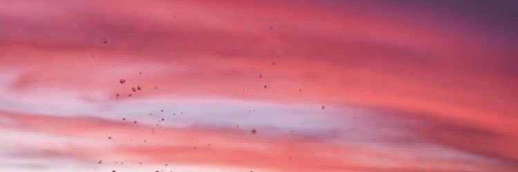mercebrennan's profile banner image