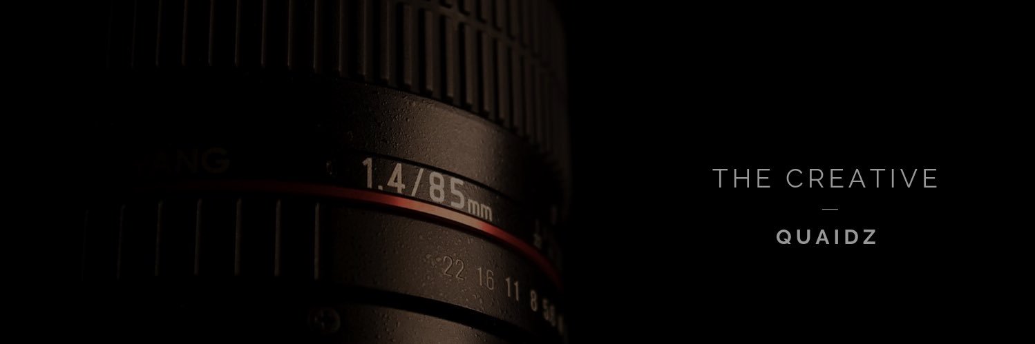 Stephen Quaid banner