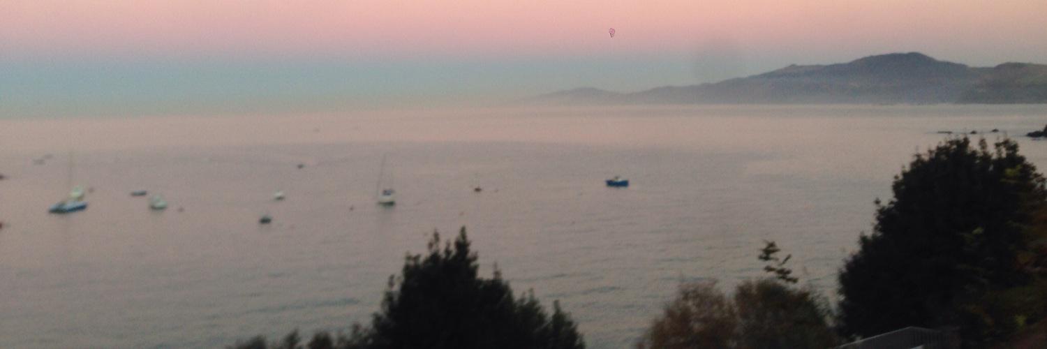 Roberto Olabe banner