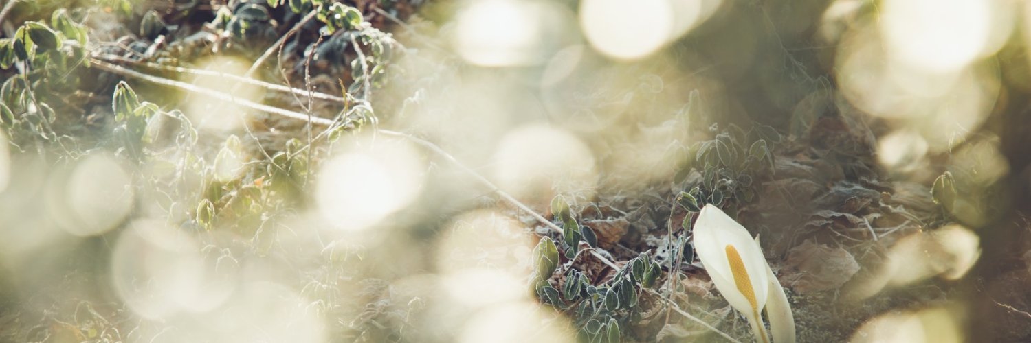 LoveGsmsk's profile banner image