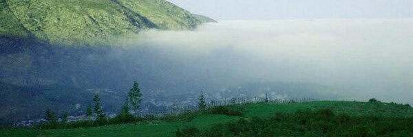 afchine_alavi Profile Banner
