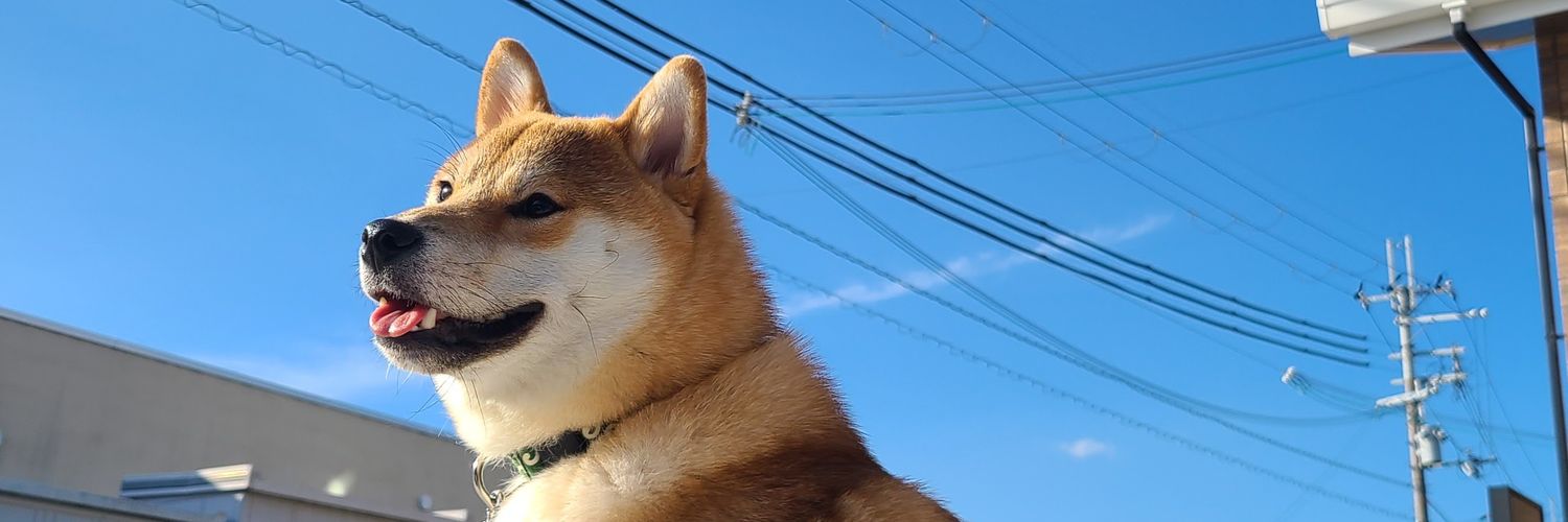 pyonkichilove's profile banner image