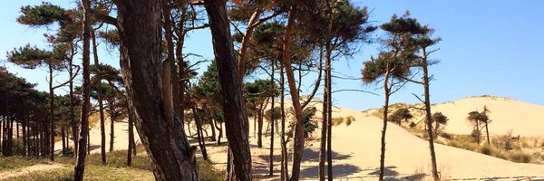 FHS_SIXTHFORM Profile Banner