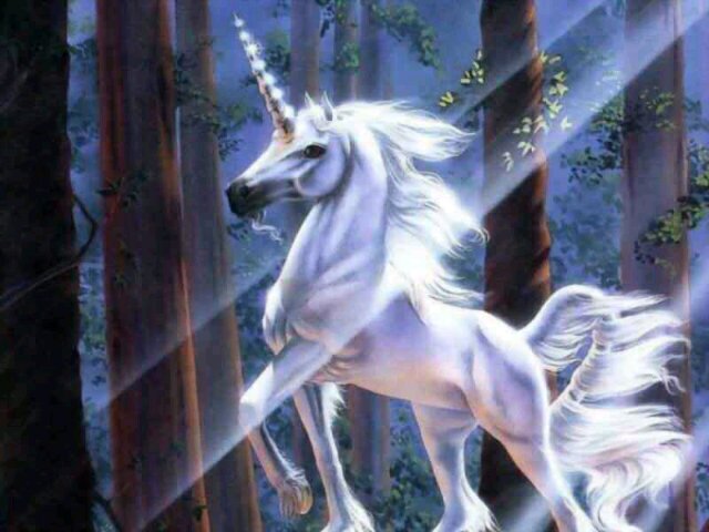 tunbosun79's profile banner image