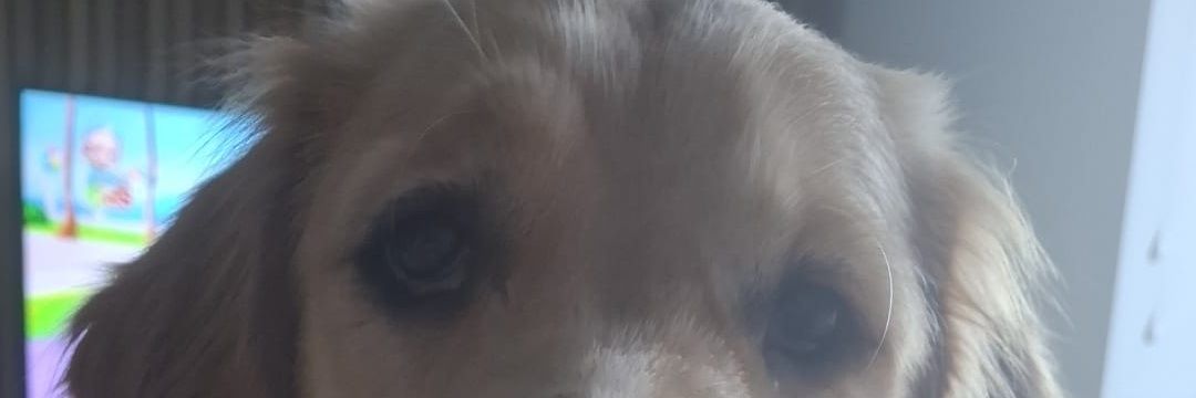 Corey_Abraham93's profile banner image