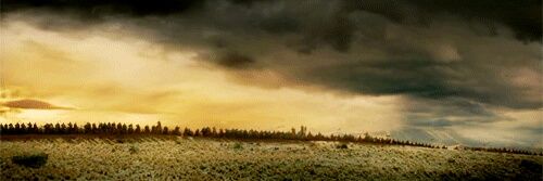 young_achilles's profile banner image