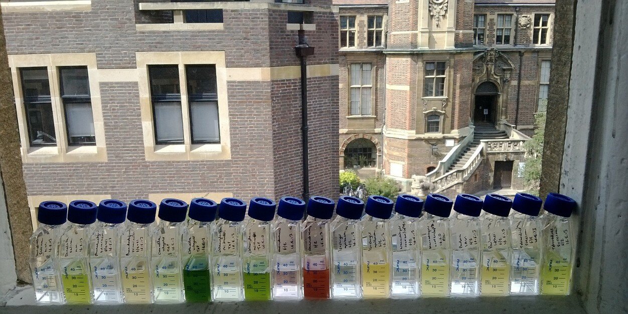 Dr Matt Davey banner