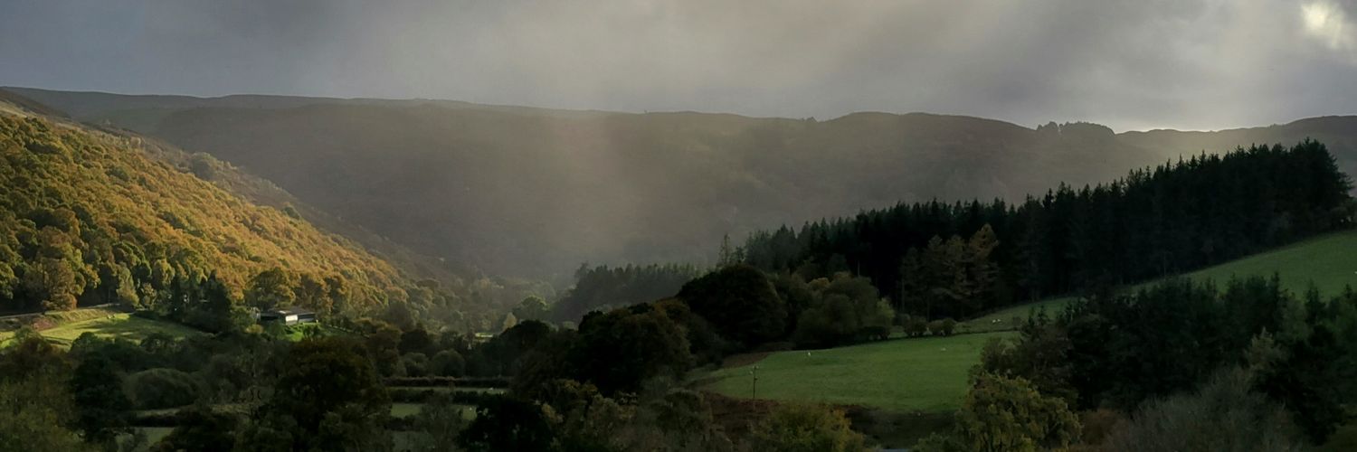 shortelm's profile banner image