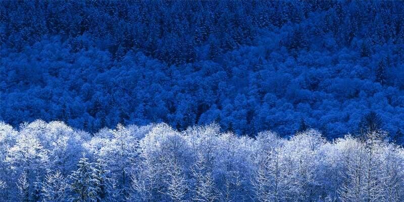 neturalblue's profile banner image