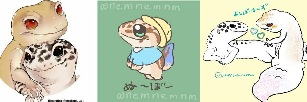 よしぼー banner