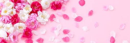 sheri_une's profile banner image