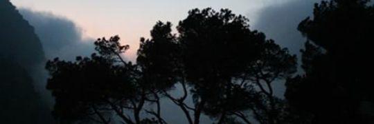 tsukisetto's profile banner image