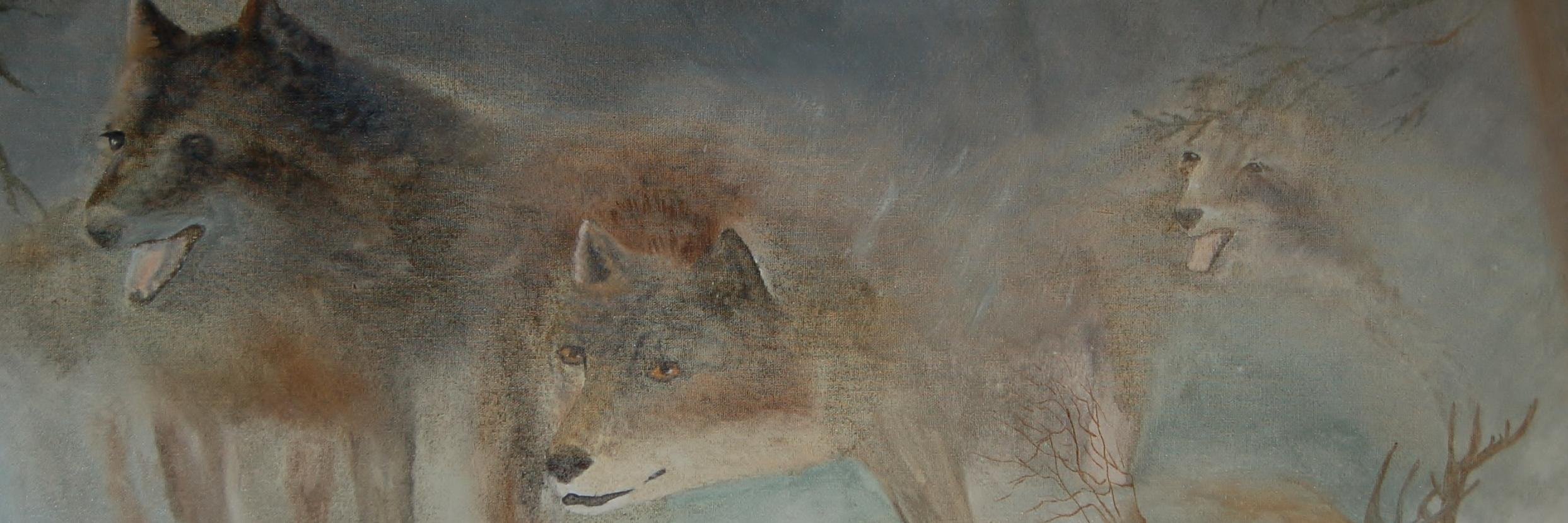 pmoore283's profile banner image