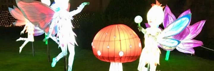 🌟 🎀 Carol Rowley 🎀 🌟 banner