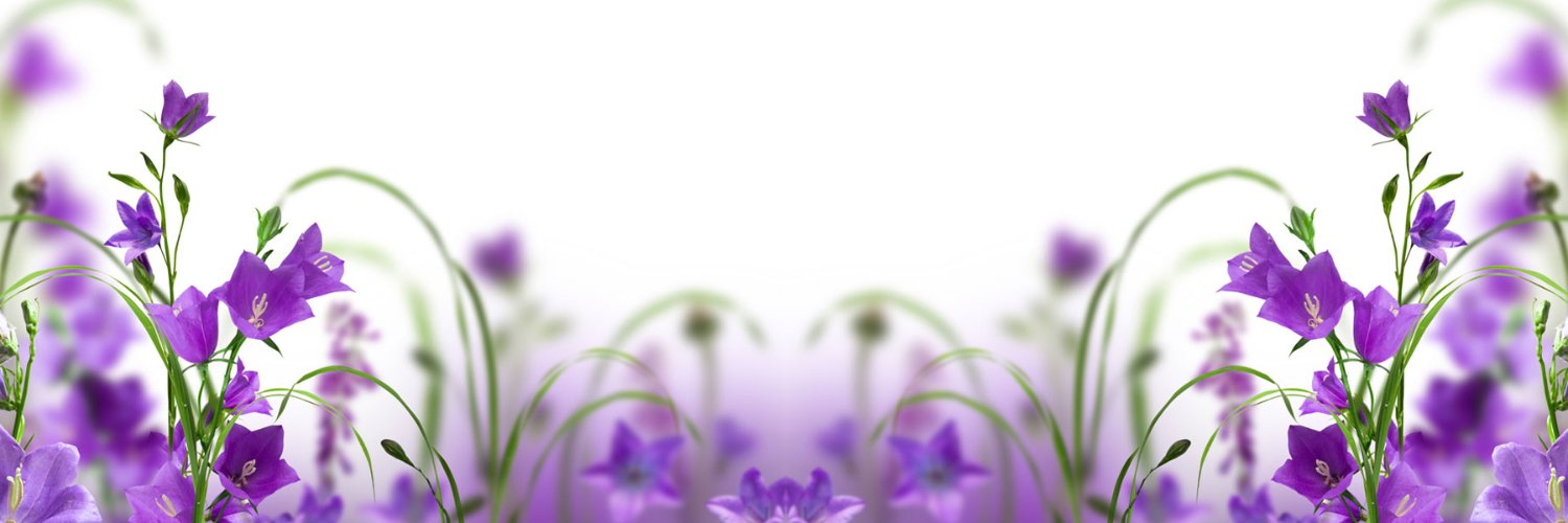 catalina Vendrell| ETHGas ⛽ banner